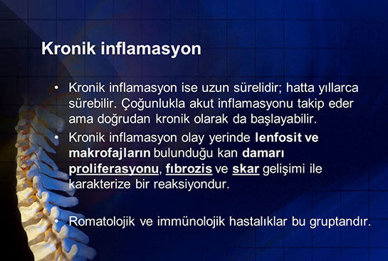 Kronik İnflamasyon Belirtileri ve Tedavisi